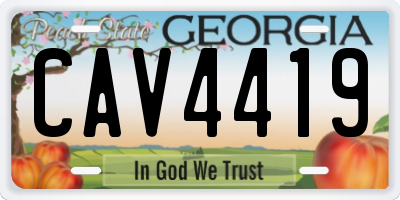 GA license plate CAV4419