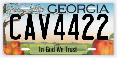 GA license plate CAV4422