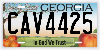 GA license plate CAV4425