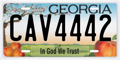 GA license plate CAV4442