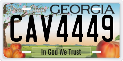 GA license plate CAV4449