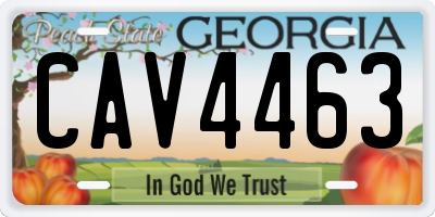 GA license plate CAV4463