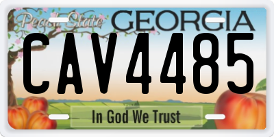 GA license plate CAV4485