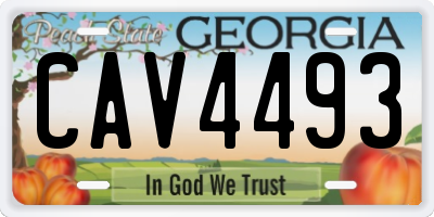GA license plate CAV4493