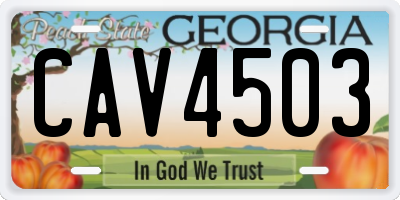 GA license plate CAV4503