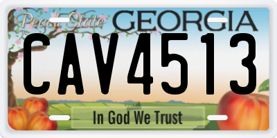 GA license plate CAV4513