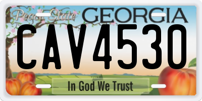 GA license plate CAV4530