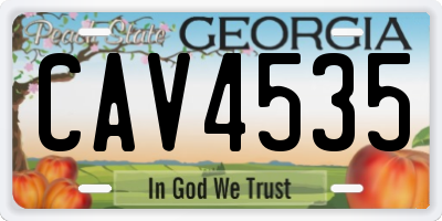 GA license plate CAV4535