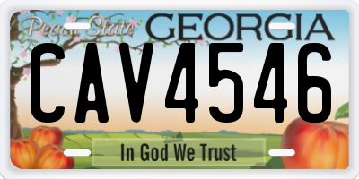 GA license plate CAV4546