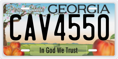 GA license plate CAV4550