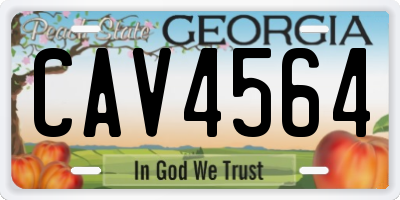 GA license plate CAV4564