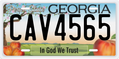 GA license plate CAV4565