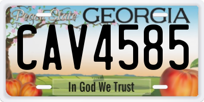 GA license plate CAV4585