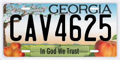 GA license plate CAV4625