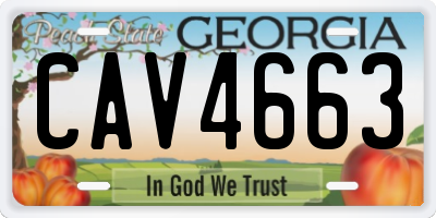 GA license plate CAV4663