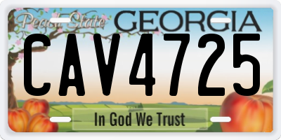 GA license plate CAV4725