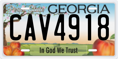 GA license plate CAV4918