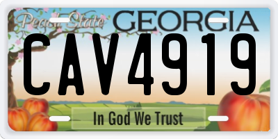 GA license plate CAV4919