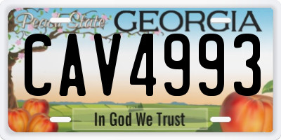 GA license plate CAV4993