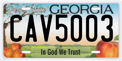 GA license plate CAV5003