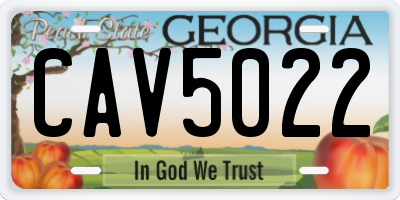 GA license plate CAV5022