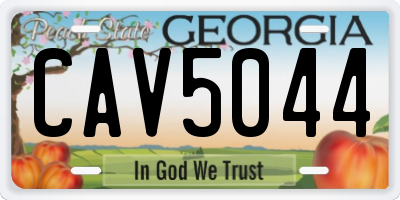 GA license plate CAV5044