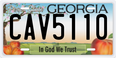 GA license plate CAV5110
