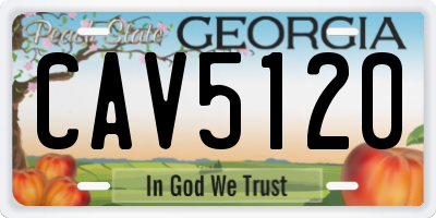 GA license plate CAV5120