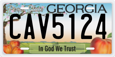 GA license plate CAV5124