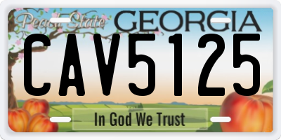 GA license plate CAV5125