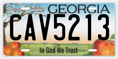 GA license plate CAV5213