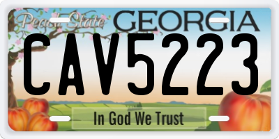 GA license plate CAV5223