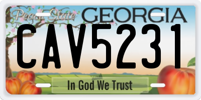 GA license plate CAV5231