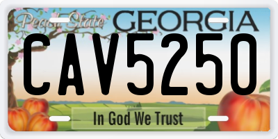 GA license plate CAV5250