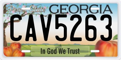 GA license plate CAV5263