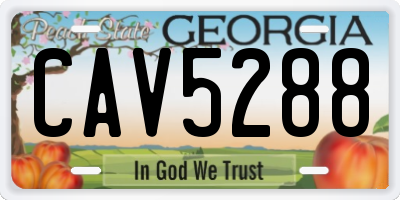 GA license plate CAV5288