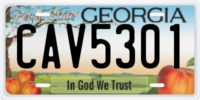 GA license plate CAV5301