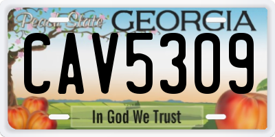 GA license plate CAV5309