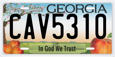 GA license plate CAV5310