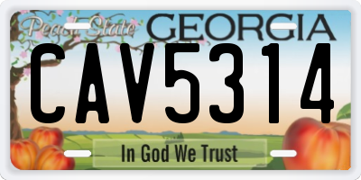 GA license plate CAV5314