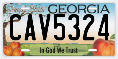 GA license plate CAV5324