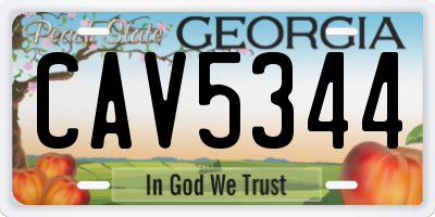 GA license plate CAV5344