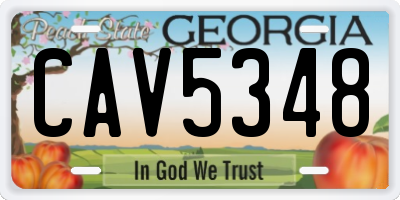 GA license plate CAV5348