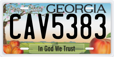 GA license plate CAV5383