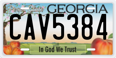 GA license plate CAV5384