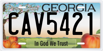 GA license plate CAV5421