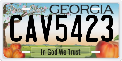 GA license plate CAV5423