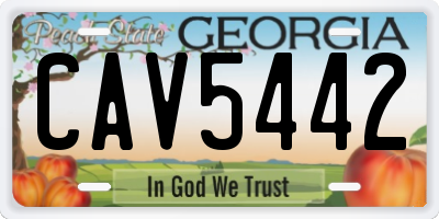 GA license plate CAV5442