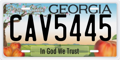 GA license plate CAV5445