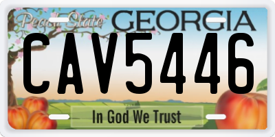 GA license plate CAV5446